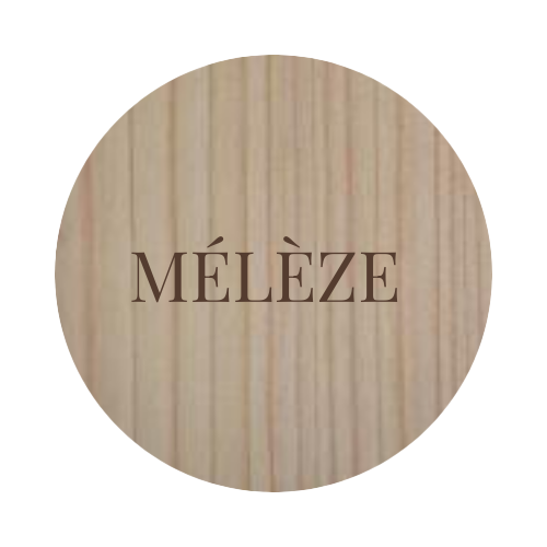 Mélèze de France