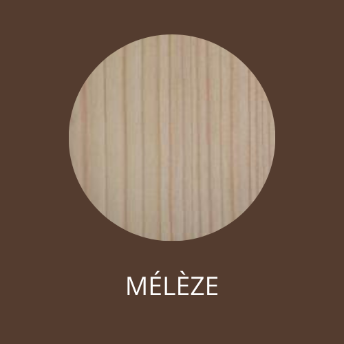 essence mélèze